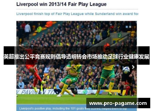 英超推出公平竞赛规则倡导透明转会市场推动足球行业健康发展 英超推出公平竞赛规则倡导透明转会市场推动足球行业健康发展