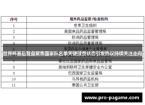 世界杯赛后复盘聚焦国家队名单关键球员状态引发热议持续关注走向