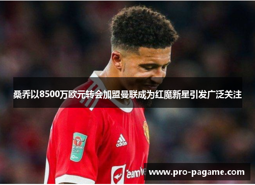 桑乔以8500万欧元转会加盟曼联成为红魔新星引发广泛关注 桑乔以8500万欧元转会加盟曼联成为红魔新星引发广泛关注