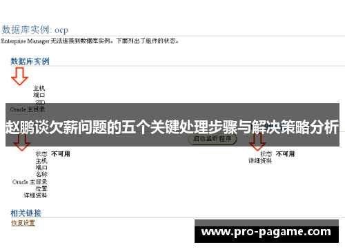 赵鹏谈欠薪问题的五个关键处理步骤与解决策略分析