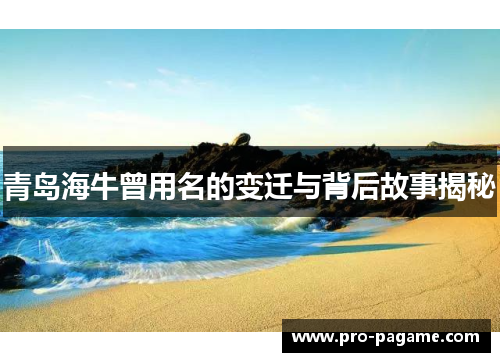 青岛海牛曾用名的变迁与背后故事揭秘